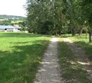 Premiumspazierweg Früchtetrauf-Leisawegle