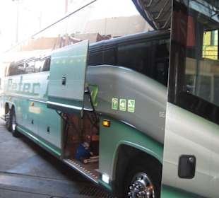 Peter Pan Bus