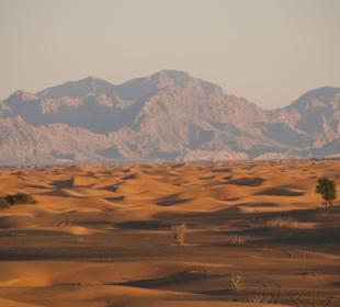 Abendstimmung in der Wüste