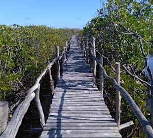 Weg von der Anlegestelle zu den Ruinen