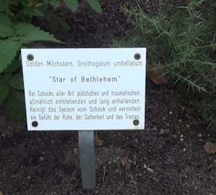 Botanischer Garten