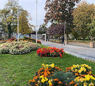 Kurpark Miedzyzdroje/Misdroy