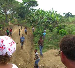 Monster Truck Safari