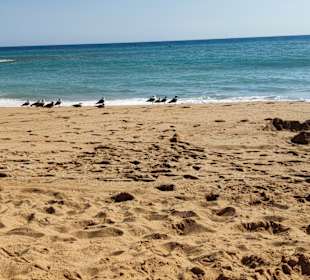 Praia de Nossa Senhora da Rocha