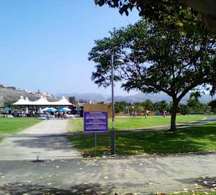 Parque del Sur in Maspalomas