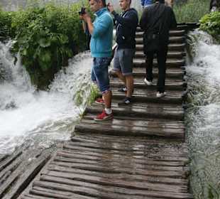 Holzpfad zwischen den Seen