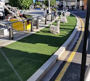 Stadtrundgang Costa Adeje