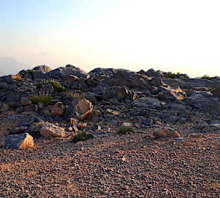 Ausflug Jebel Harim