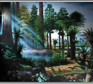 Elder-Museum Las Palmas