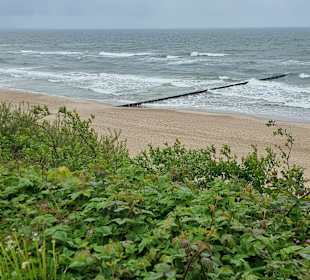 Strand Rewal
