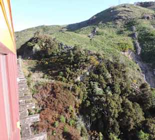 Mitder Taileri Railway durch die Natur Neuseelands