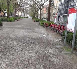 Untere Laube