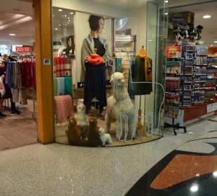 Harbourside Shoppingcenter