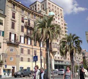 Savona