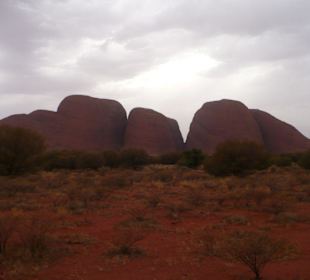 Kata Tjuta (Olgas)