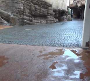 Mexiko - Colorado Adventure