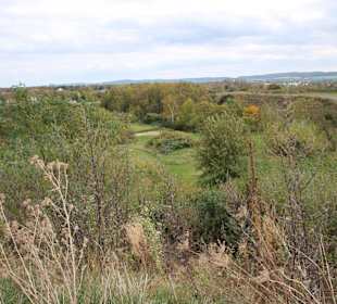 Blick auf das Golfgelände von oben