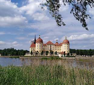Schloss Moritzburg 