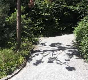 Botanischer Garten der Universität Zürich