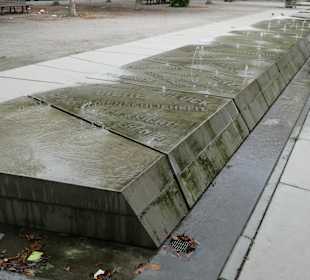 Fußweg durch den Besselpark