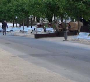 Königlicher Kurgarten