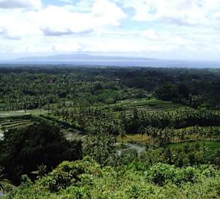 Impressionen aus Bali