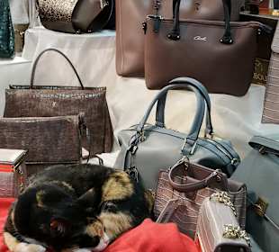 Einkaufen & Shopping