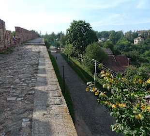 Стена