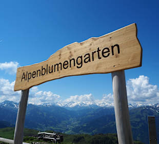 Oberer Eingang Alpenblumengarten