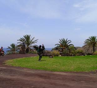 Oasis Park - ein Muss für Naturliebhaber