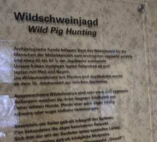SchweineMuseum