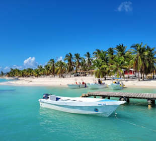 Saona