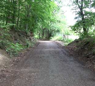 Wanderweg - Alter Steinbruch Pfaffenberg Runde