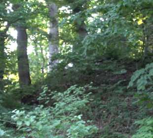 Burgruine Andeck Talheim