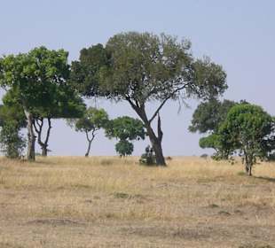 Mitten in der Steppe