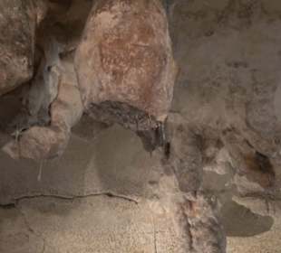 Ghar Dalam Cave & Museum