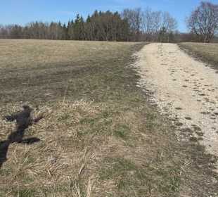Naturschutzgebiet Meisenbühl