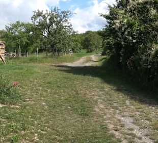 Wanderweg Ammerbucher Gigeleswegle