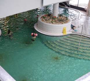 Eines der 5 Innenbecken