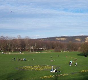 Große Rasenflächen