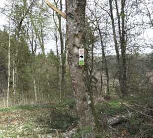 Wanderweg Hochgehswiggert