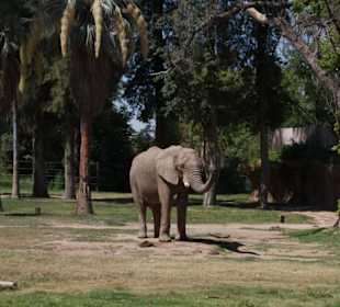 Fresno Chaffee Zoo
