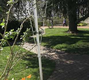 Rosengarten 
