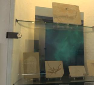 Jura-Museum