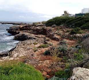 Caló de Sa Galera in Cala d'Or