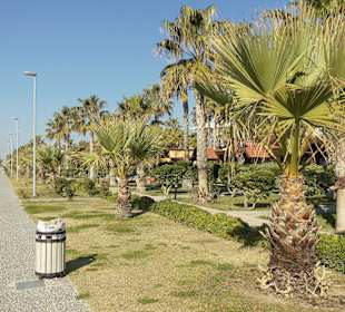 Könnte nicht schöner sein