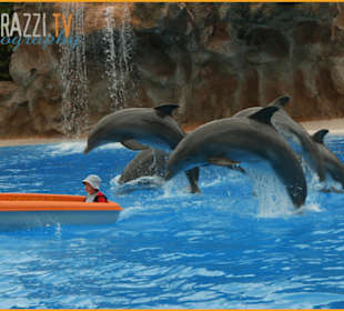 Loro Parque