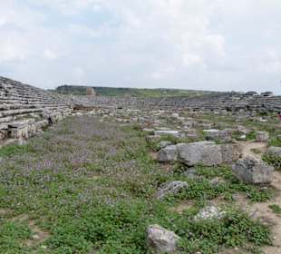 Das Stadion mit bis zu 12000 Sitzplätze