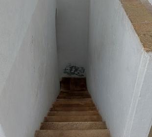 Paço Episcopal de Faro