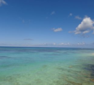 Im Bereich des National Parks